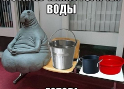 Кому в августе выключат горячую воду в Новороссийске 