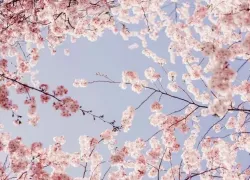 Никаких сокращений: стал известен режим работы в преддверии 8 Марта