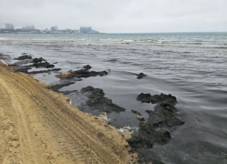 Вонючие водоросли в Анапе так и не убрали