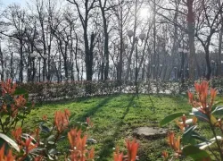 Стрельца ждут приключения, а Рыбам — пора отдохнуть