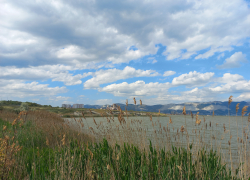 В Новороссийске ожидается дождь с грозой: когда придёт тепло