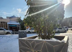 Докатились: как теперь ходит общественный транспорт в Новороссийске