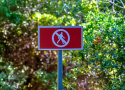 Напоминание для “отдыхаек” на природе — в Новороссийске действует особый противопожарный режим