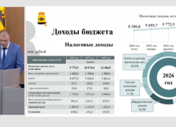 Власти Новороссийска раскрыли детали бюджета: на что потратятся в 2026-м году