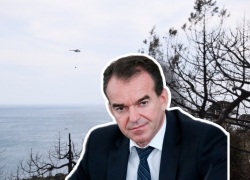 Мегапожар в Дюрсо: можно ли было спасти лес под Новороссийском?