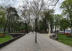 Весам стоит отправиться на шопинг, а Стрельцам – самое время погрузиться в обучение