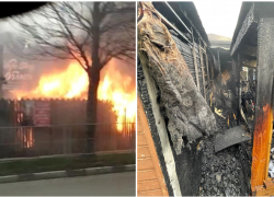 Стали известны подробности пожара в павильоне с шаурмой в Новороссийске 