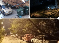 Упавшие деревья и покореженные автомобили. Новороссийцы обсуждают последствия ночного ветра
