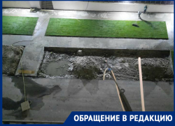 «Чтобы искупаться, нужно стать газоном!» - терпение новороссийцев на пределе