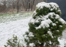 Снег превратится в лужи: погода в Новороссийске