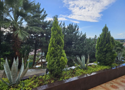 Погода в Новороссийске: переменная облачность и лёгкий ветерок