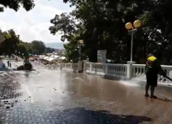 Геленджик продолжает гадить - держитесь от него подальше