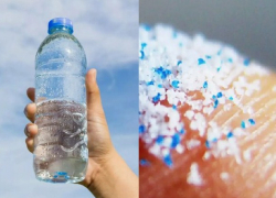 Ученые не советуют новороссийцам пить воду из пластиковых бутылок   