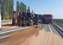 Новороссийские большегрузы перевезли наибольшее количество зерна