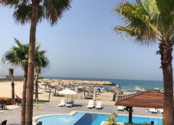 Бизнес с Ливаном – интересные перспективы  и нерешенные вопросы