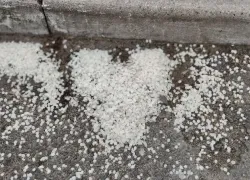 Гороскоп от «Блокнота»: Раки, уделите время семье, а Козероги, сосредоточьтесь на карьере