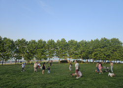 Июнь порадует выходными: новороссийцы будут отдыхать четыре дня подряд 