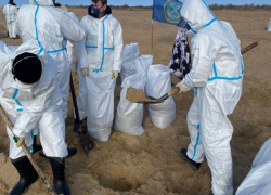 Свыше 1200 новороссийских курсантов приняли участие в ликвидации последствий разлива нефтепродуктов: работа продолжается