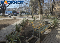 «Страшно сесть!», - жительница Новороссийска возмутилась состоянием скамеек у поликлиники 