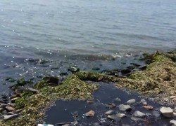 Септик сливают прямо в море в Новороссийске