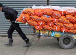 Задержан приезжий, укравший мандарины на шесть миллионов рублей в Новороссийске