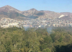 Вновь горит Цемесская роща Новороссийска