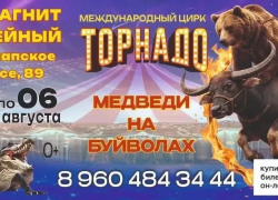 Цирк «Торнадо» - за гранью реальности: шоу в Новороссийске уже с самом разгаре! 