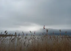 Погода в Новороссийске: облачно, ветрено, но так хорошо 