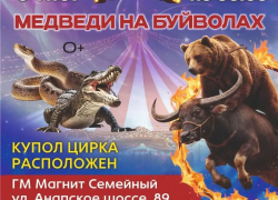 Фееричное шоу «МЕДВЕДИ НА БУЙВОЛАХ» в Новороссийске!