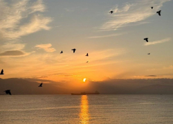 Погода в Новороссийске: какой же тёплый ноябрь у Чёрного моря 