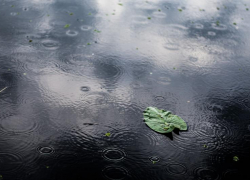 Предприниматель «слил» на свой счет 2,3 млн рублей, обустраивая «ливневки» в Новороссийске