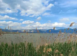 Погода в Новороссийске: выглянет солнце, но это не точно 