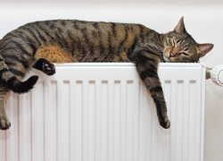 Новую котельную власти Новороссийска «грозятся» построить до отопительного сезона