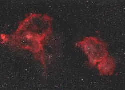 Роскосмос показал космические букеты в честь 8 Марта