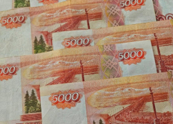 Кошмар для автобизнеса: в Новороссийске предприниматели на грани потери всего