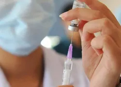 Новороссийцам угрожает не только коронавирус 