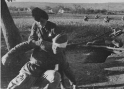 Новороссийск 75 лет назад: санитарка отвоевывает бойцов у смерти