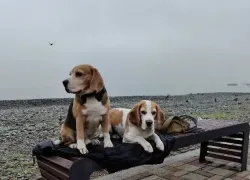 Увидели солнце? Хватит – опять дождливо