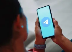 Telegram не умер: новороссийцы отмечают, что сервис работает - как так
