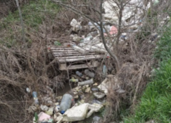 «Здесь не люди живут?»: новороссийцы жалуются на мусор, несмотря на субботники и отчеты чиновников