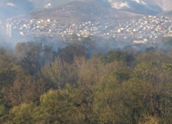 В Новороссийске горит Цемесская роща