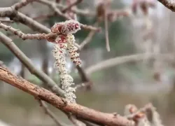 Для Овнов наступило время действовать, а Стрельцам пора расширить кругозор