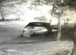 "Черти" без номеров украли себе номера в Новороссийске