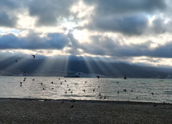 Гороскоп от «Блокнота»: у рыб неожиданности в личной жизни, а ракам лучше не тратиться 