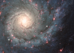 Гороскоп от “Блокнота” на 20 июля: Девам и Стрельцам стоит держать себя в руках