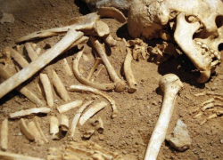 Новороссийцы нашли человеческие кости в районе военного госпиталя