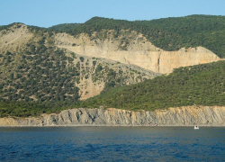 «Дичь» международного масштаба поймали в заповеднике полицейские из Новороссийска