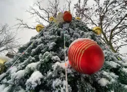 Новый год не спешит уходить: сегодня в Новороссийске снова праздник