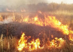 Прямо сейчас под Новороссийском тушат крупный пожар