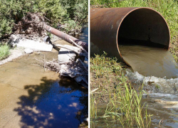 Международный день рек: почему это повод для грусти в Новороссийске 